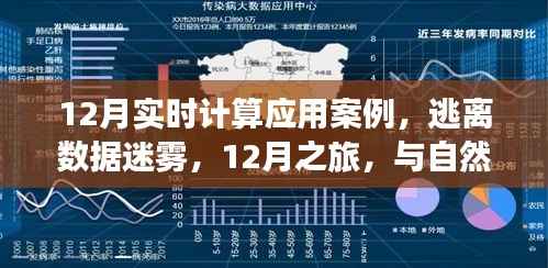 12月实时计算应用案例,数据迷雾中的逃离之旅与自然美景的实时对话
