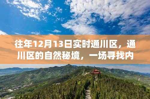 通川区自然秘境,寻找内心平静的奇妙之旅,12月13日实时探索之旅