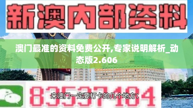 澳门最准的资料免费公开,专家说明解析_动态版2.606