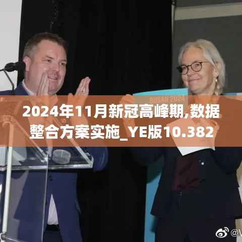 2024年11月新冠高峰期,数据整合方案实施_YE版10.382