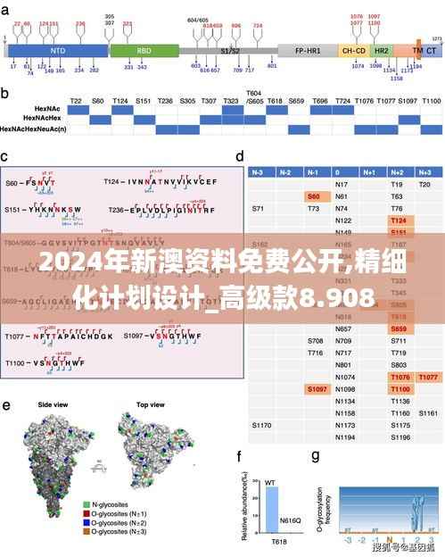 2024年新澳资料免费公开,精细化计划设计_高级款8.908