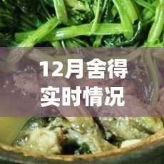 探秘巷弄深处的舍得惊喜，一家隐藏小巷中的特色小店揭秘的十二月故事