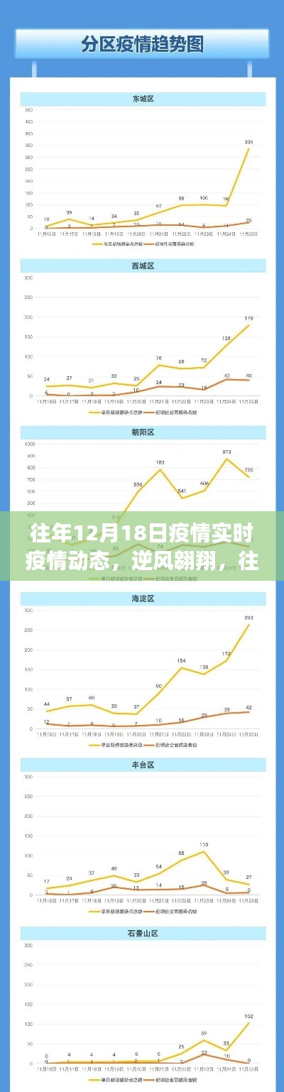 往年12月18日疫情动态回顾与展望,逆风翱翔与成长之路
