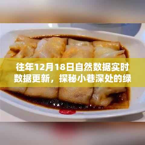 探秘绿色数据宝藏,特色小店与自然数据实时共舞,小巷深处的最新更新动态