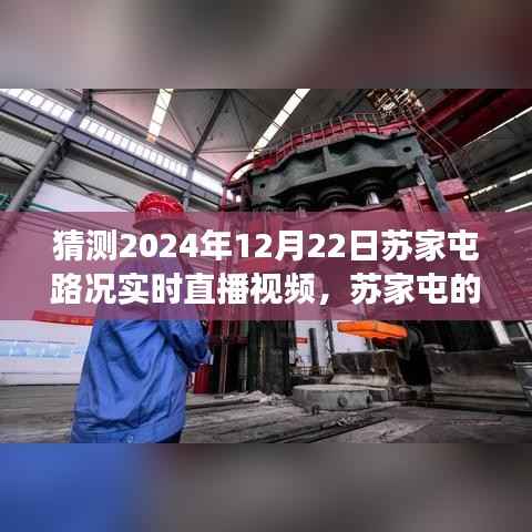 苏家屯路况实时直播，探索神秘小巷的特色小店，预测未来路况之旅