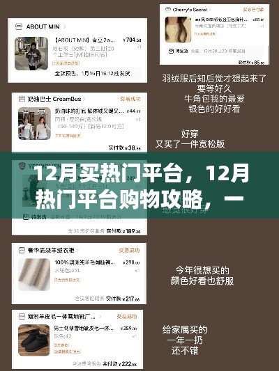 12月购物攻略,热门平台挑选与心仪商品购买指南