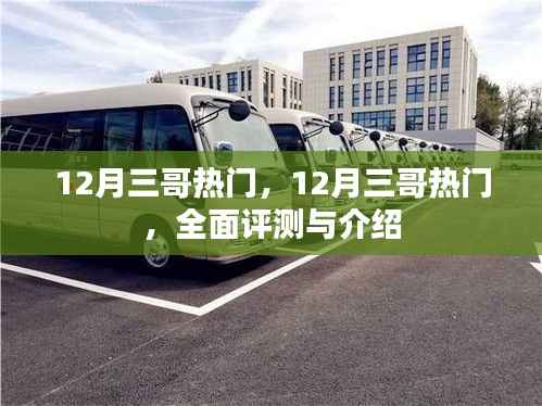 12月三哥热门全面评测与介绍