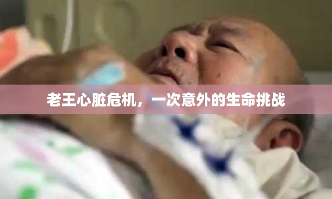 美轮美奂 第4页