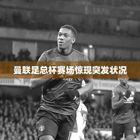 夫妻本是同林鸟 第3页