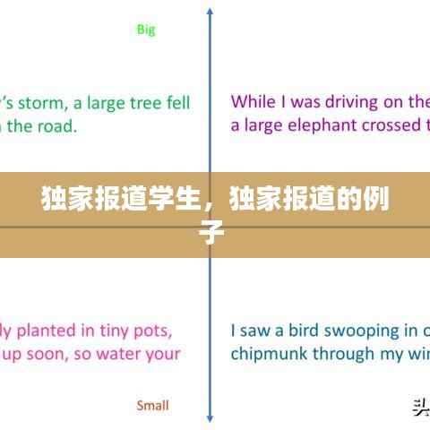 独家报道学生，独家报道的例子 