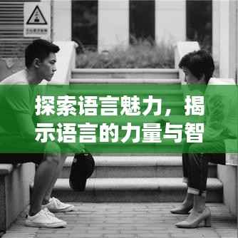 贵险贱璧 第3页