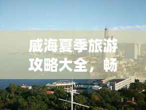 纲挈目张