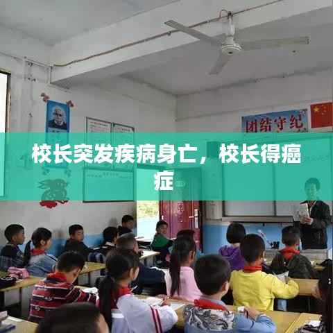 打马虎眼 第3页