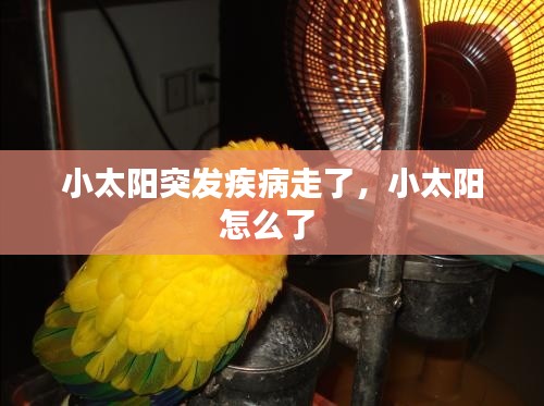 呼吸相通