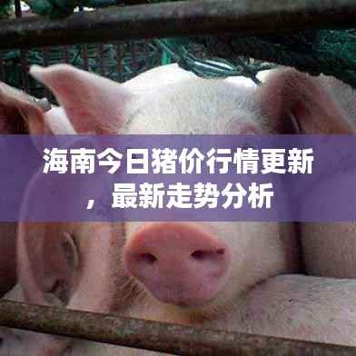 笨鸟先飞 第3页