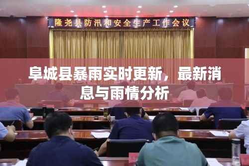 阜城县暴雨实时更新,最新消息与雨情分析