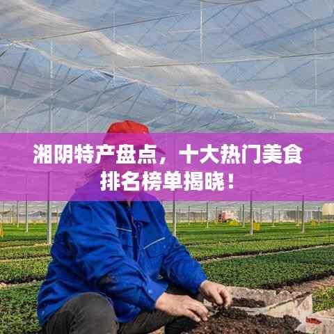 湘阴特产盘点,十大热门美食排名榜单揭晓!