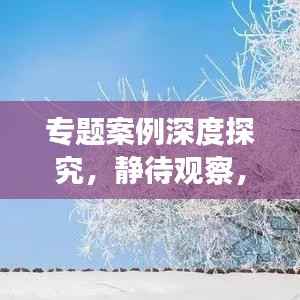专题案例深度探究,静待观察,揭秘未知
