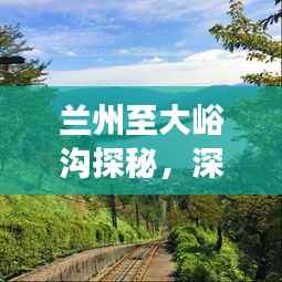 兰州至大峪沟探秘,深度旅游攻略,畅游自然美景!