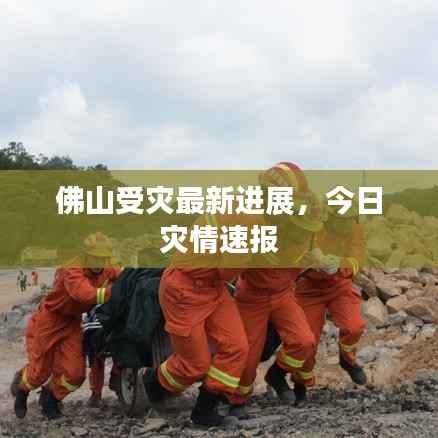 佛山受灾最新进展,今日灾情速报