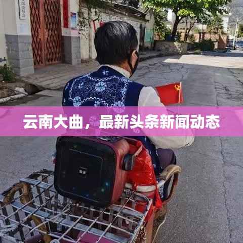云南大曲,最新头条新闻动态
