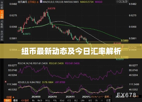 纽币最新动态及今日汇率解析