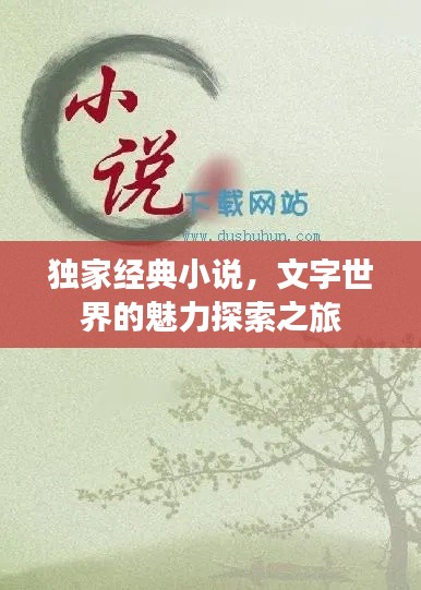 独家经典小说,文字世界的魅力探索之旅