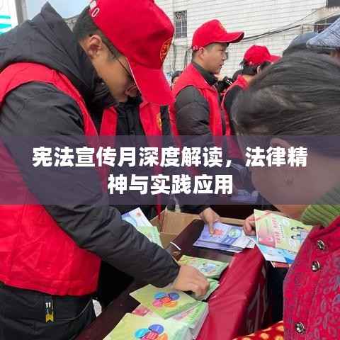 宪法宣传月深度解读,法律精神与实践应用