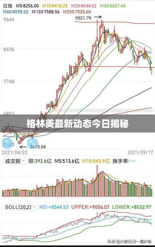 格林美最新动态今日揭秘