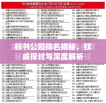 标书公司排名揭秘,权威探讨与深度解析