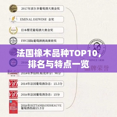 法国橡木品种TOP10,排名与特点一览