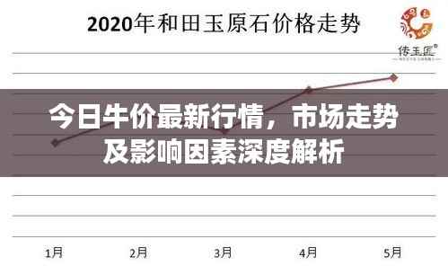 今日牛价最新行情,市场走势及影响因素深度解析